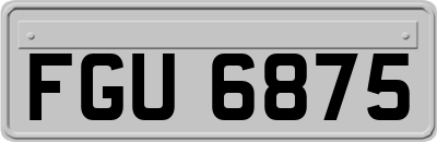 FGU6875