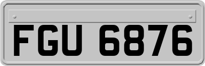 FGU6876