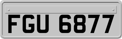 FGU6877