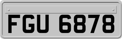 FGU6878