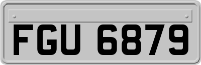 FGU6879