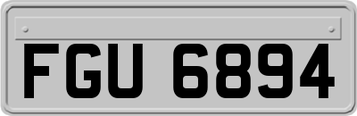 FGU6894
