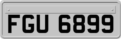 FGU6899