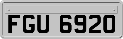 FGU6920