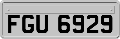 FGU6929