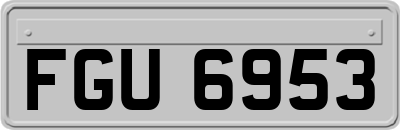 FGU6953