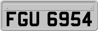 FGU6954