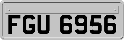 FGU6956