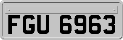 FGU6963