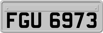 FGU6973