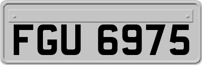 FGU6975