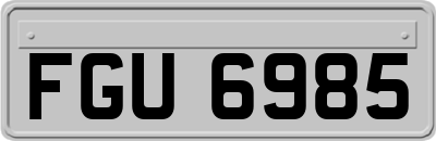 FGU6985