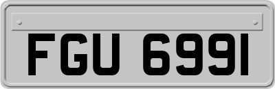 FGU6991