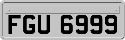 FGU6999
