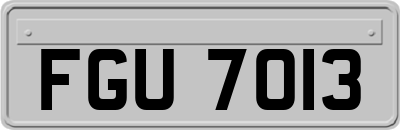 FGU7013