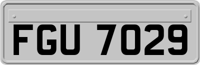 FGU7029