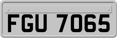 FGU7065