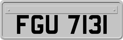 FGU7131
