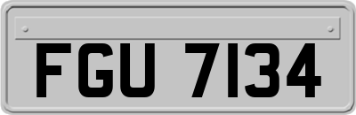 FGU7134