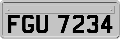 FGU7234