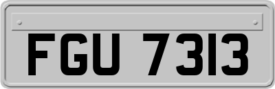 FGU7313