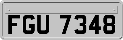 FGU7348