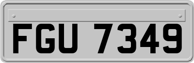 FGU7349