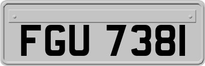 FGU7381