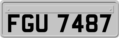 FGU7487