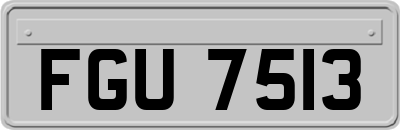 FGU7513