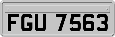 FGU7563