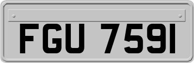 FGU7591