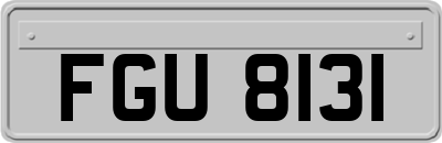 FGU8131