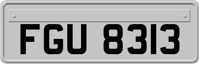 FGU8313