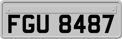 FGU8487