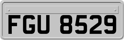 FGU8529