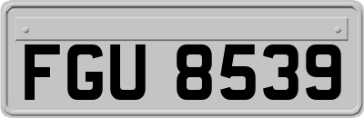FGU8539
