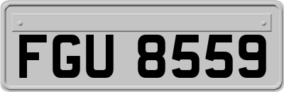 FGU8559