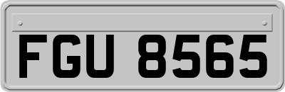 FGU8565
