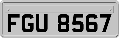 FGU8567