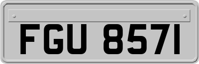 FGU8571