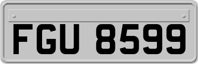 FGU8599