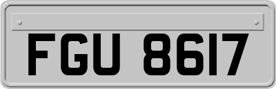 FGU8617