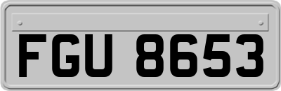 FGU8653