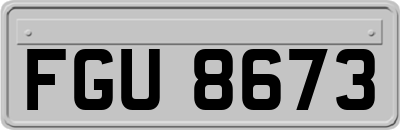FGU8673