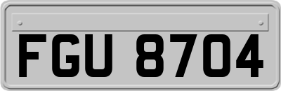 FGU8704