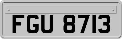 FGU8713