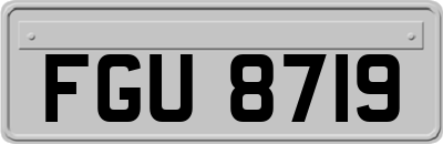 FGU8719