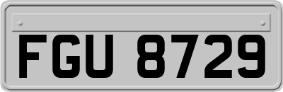 FGU8729