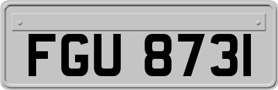 FGU8731